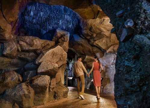 ナイトサファリ